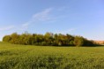 /album/prieskum-pravdepodobnych-environmentalnych-zatazi/odkalisko-z-dola-jpg/